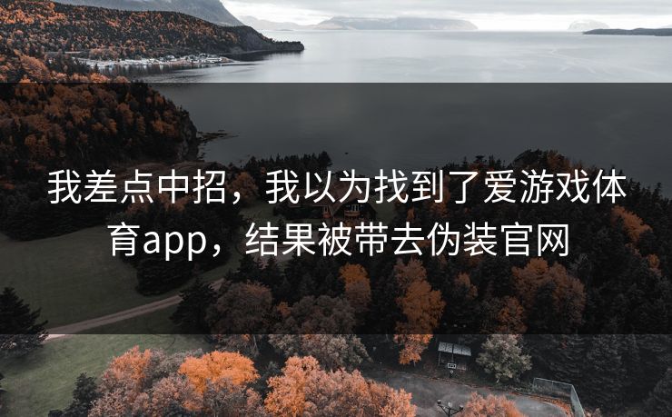 我差点中招，我以为找到了爱游戏体育app，结果被带去伪装官网
