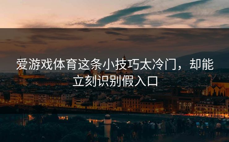 爱游戏体育这条小技巧太冷门，却能立刻识别假入口