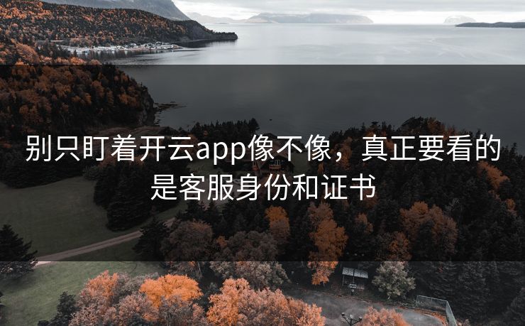 别只盯着开云app像不像，真正要看的是客服身份和证书