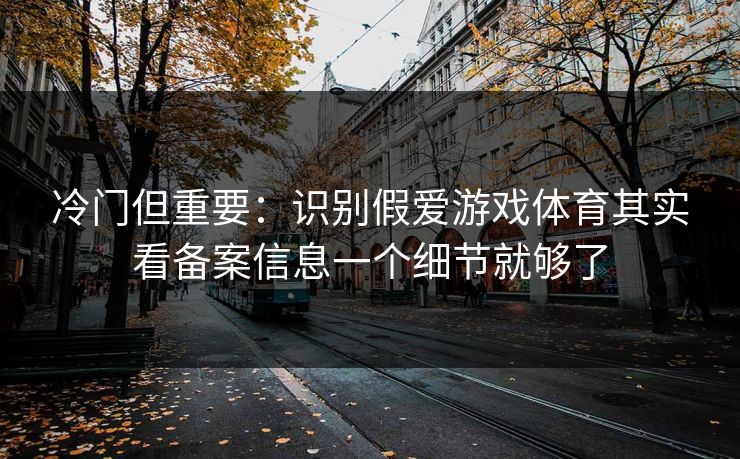 冷门但重要：识别假爱游戏体育其实看备案信息一个细节就够了