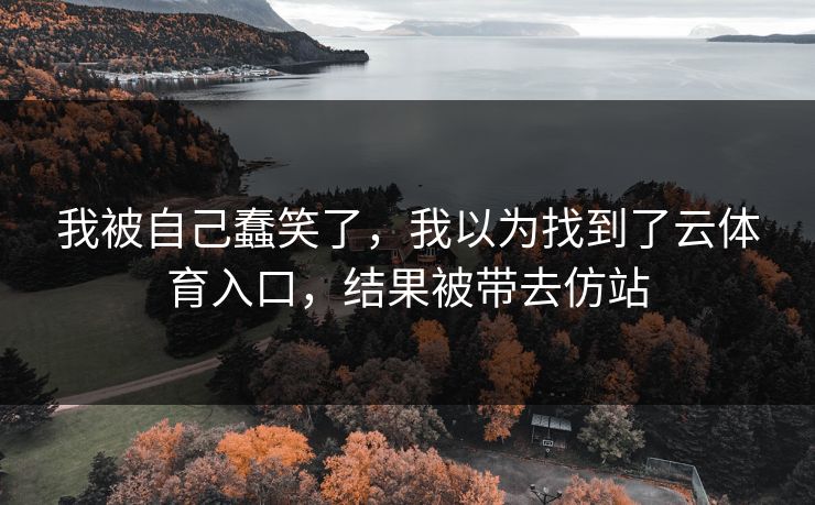 我被自己蠢笑了，我以为找到了云体育入口，结果被带去仿站