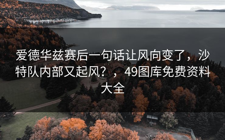 爱德华兹赛后一句话让风向变了，沙特队内部又起风？，49图库免费资料大全