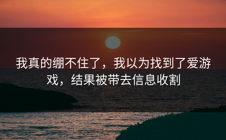 我真的绷不住了，我以为找到了爱游戏，结果被带去信息收割