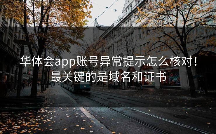 华体会app账号异常提示怎么核对！最关键的是域名和证书