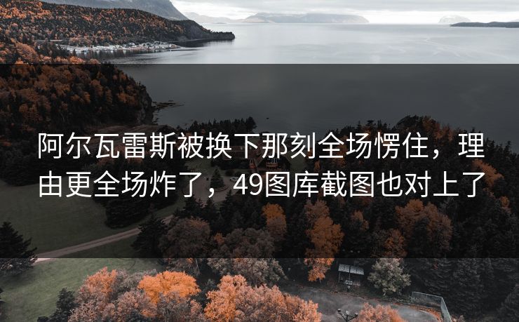 阿尔瓦雷斯被换下那刻全场愣住，理由更全场炸了，49图库截图也对上了