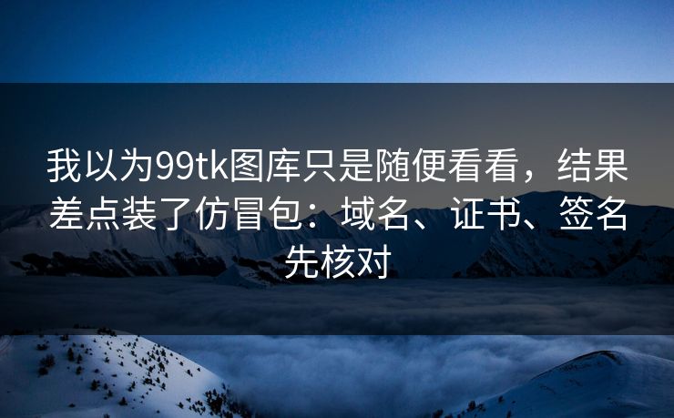 我以为99tk图库只是随便看看，结果差点装了仿冒包：域名、证书、签名先核对